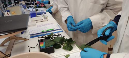Laboratorija